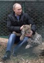 Putins ar Leopardu - 3