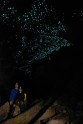 Waitomo Glowworm Cave10