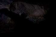 Waitomo Glowworm Cave11