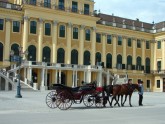 Schönbrunn Palace06