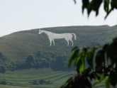 Westbury White Horse09