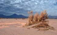 Atacama Desert 03