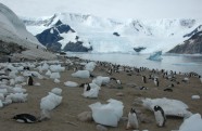 Antarctica 06