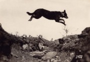 A dog jumps over a trench, in which German soldiers are pictured in fighting position