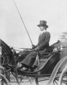 Woman in horsedriven buggy