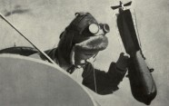 WW1 pilot dropping a handheld bombing from his plane
