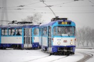 Sniegputenis Rīgā - 25