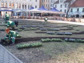 Pirmie pavasara ziedi Rīgas parkos - 4