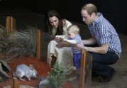 Karaliskā ģimene zoodārzā - 4