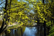 Pavasaris Rīgā - 1