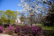 Pavasaris Rīgā - 19