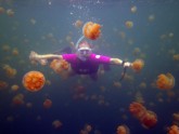 Jellyfish Lake 07