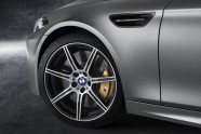 BMW M5 30 Year Special Edition - 7