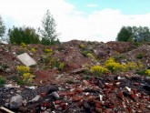 Būvgružu izgāztuves Jēkabpilī un Salas novadā - 10