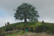 Hobbiton village - 5