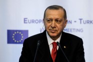 President Recep Tayyip Erdogan, Erdogans,  Redžeps Tajips Erdogans