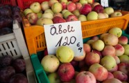Poļu āboli Centrāltirgū - 26