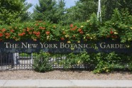 Ņujorkas botāniskais dārzs - 2