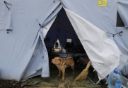 Tent city of Donetsk - 16