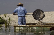 Meksikā izskalo 48 tonnas beigtu zivju  - 2