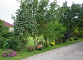 Bišofu dārzs Siguldā - 2