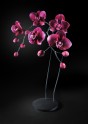 Jason Gamrath Glass Orchids - 2