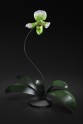 Jason Gamrath Glass Orchids - 10