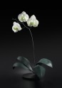Jason Gamrath Glass Orchids - 12