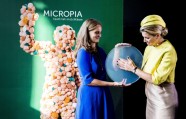 Mikrobu muzejs - Mikropia - 4