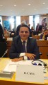 EP deputāti izjautā Dombrovski - 6