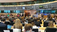 EP deputāti izjautā Dombrovski - 11