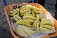 Andris Gauja dala banānus - 4