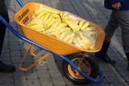 Andris Gauja dala banānus - 11