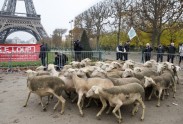 Francijas lauksaimnieku protests