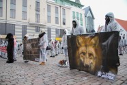 'Dzīvnieku brīvības' protesta akcija - 3