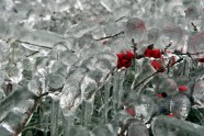 Ungāriju pārsteidz ledus lietus