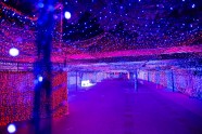 Guinness World Record for the largest display of LED lights - 6