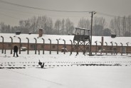 Aušvicas koncentrācijas nometne - 6