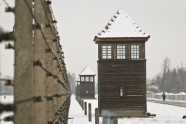 Aušvicas koncentrācijas nometne - 8