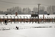 Poland Auschwitz Anniversary.JPEG-0b3f1