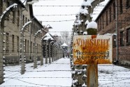 Poland Auschwitz Anniversary.JPEG-0b6a3