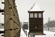 Poland Auschwitz Anniversary.JPEG-0d550