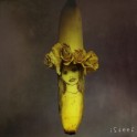 Banānu māksla - isteef - 5