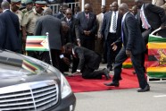 Zimbabwe Mugabe Fall.JPEG-077cb