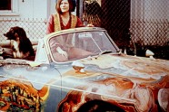 Janis Joplin car (1)