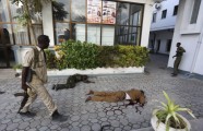 Islāmisti sarīko asinspirti Mogadišu viesnīcā - 5