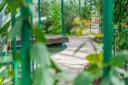 Salaspils botāniskais dārzs - jaunā oranžērija - 16