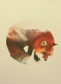 double-exposure-animal-photography-andreas-lie-3__880