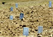 Uzbekistan Massacre Forgotten.JPEG-029dd