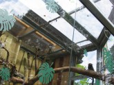 Rīgas zoo atklāj vasaras mītnes mazajiem pērtiķīšiem - 7